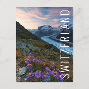 Monte Rosa Glacier   Switzerland Postcard