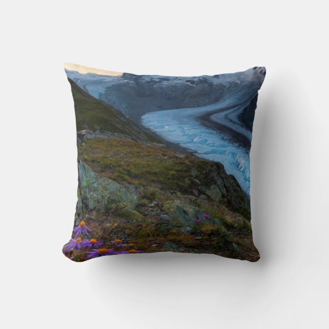 Monte Rosa Glacier | Switzerland Throw Pillow (Front)