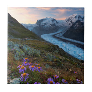 Monte Rosa Glacier Switzerland Tile