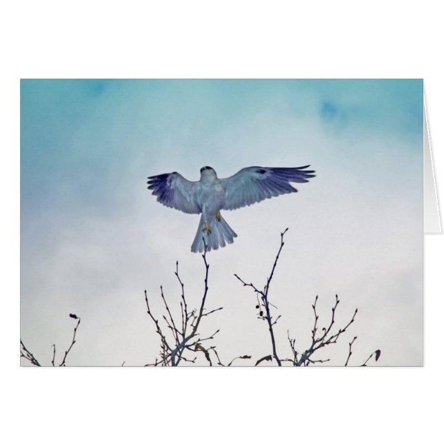 Montée (Devant horizontal)