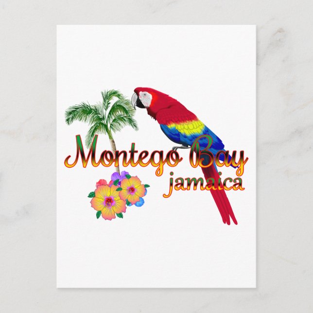 Montego Bay Jamaica Tropical Parrot Postcard (Front)