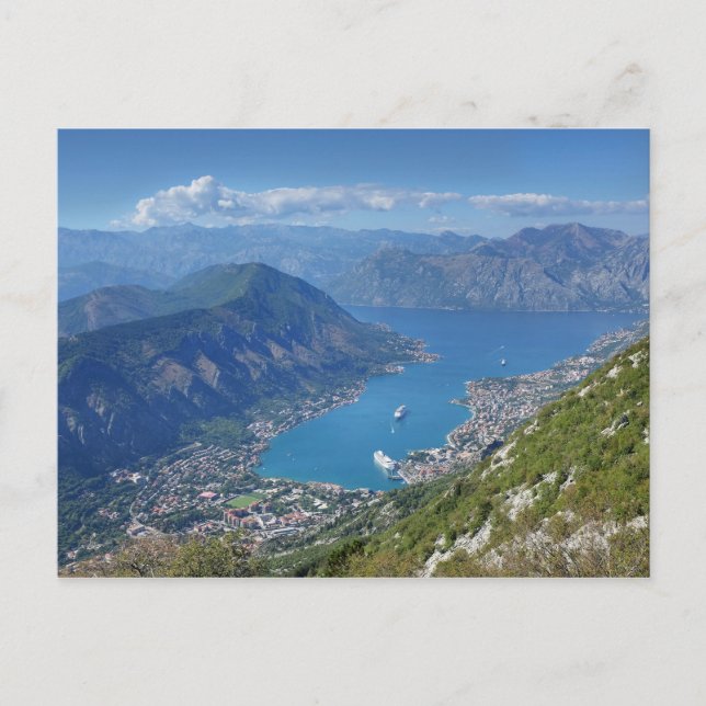 Montenegro - Cattoro - Kotor Postcard (Front)