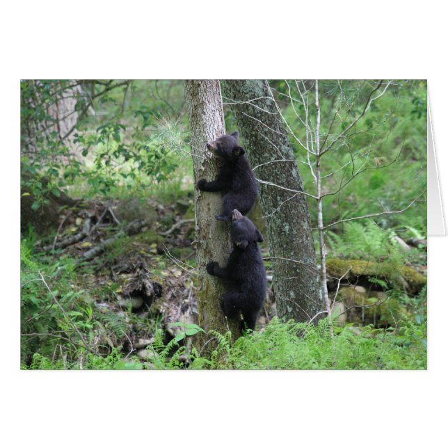 Monter (Devant horizontal)