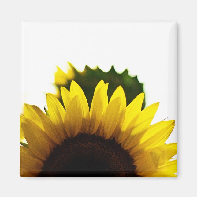 Monter et aimant (Devant)