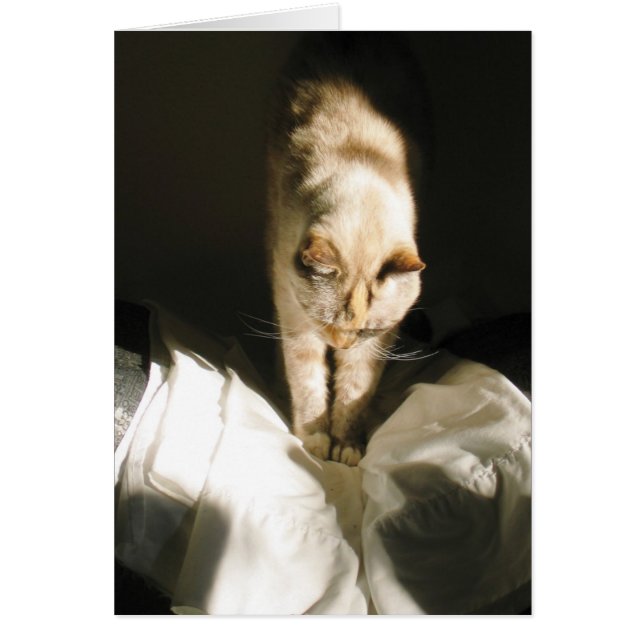 Monter et briller (Devant)