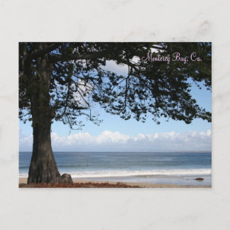 Monterey Bay, Ca. Postcard