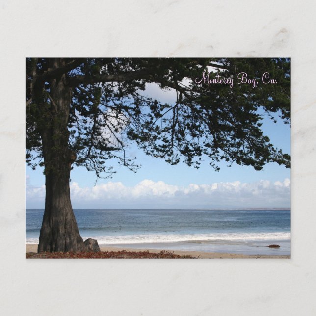 Monterey Bay, Ca. Postcard (Front)