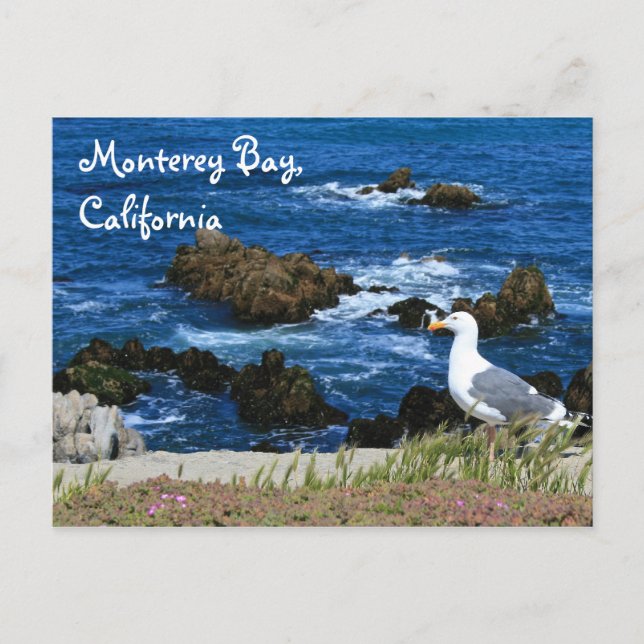 Monterey Bay, carte postale (Devant)