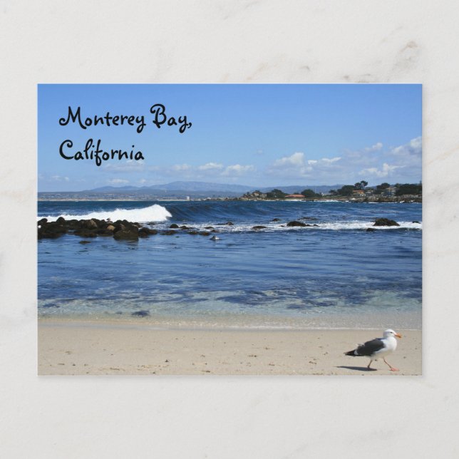 Monterey Bay, carte postale (Devant)