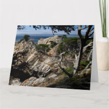 MONTEREY BAY Jumbo Greeting Card