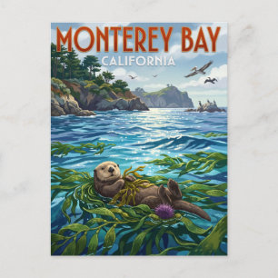 Monterey Bay Sea Otter California Postcard