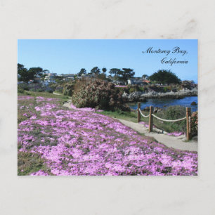 Monterey Bay, Spring Postcard