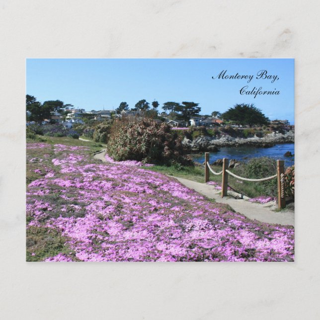 Monterey Bay, Spring Postcard (Front)