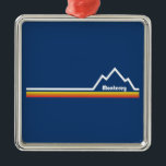 Monterey, California Metal Ornament<br><div class="desc">With Big Sur and other state parks,  the iconic Bixby Creek Bridge,  and the waterfalls of Julia Pfeiffer Burns State Park,  Monterey California is stunning. This great vintage design has a retro look.</div>