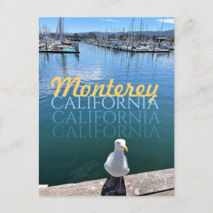 Monterey California Postcard Seagull and Sailboats