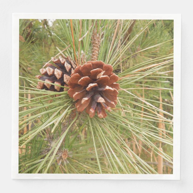 Monterey Pine Tree with Pine Cones Napkin (Front)