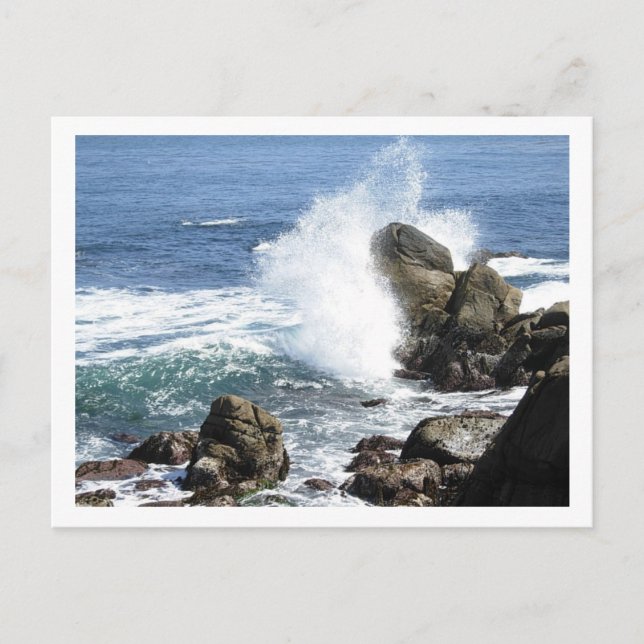 Monterey Postcard (Front)