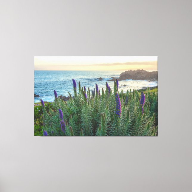 Monterey Sunrise Canvas Print (Front)