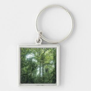 Monteverde Cloud Forest, Costa Rica. Keychain