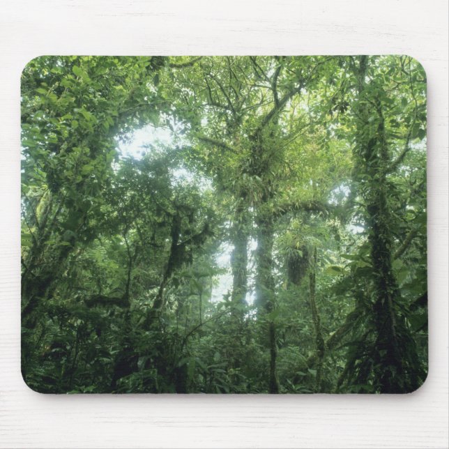 Monteverde Cloud Forest, Costa Rica. Mouse Pad (Front)