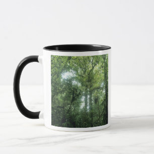 Monteverde Cloud Forest, Costa Rica. Mug