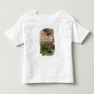 Montezuma Castle National Monument, Arizona Toddler T-shirt