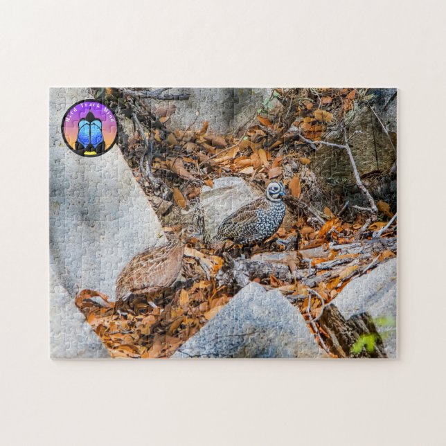 Montezuma Quail Jigsaw Puzzle (Horizontal)