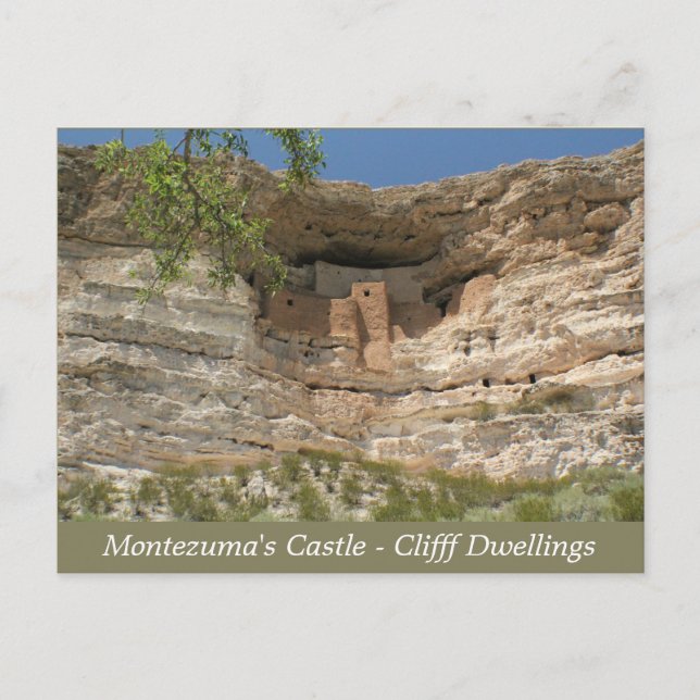 Montezuma's Castle Ruins Arizona Post Card (Front)