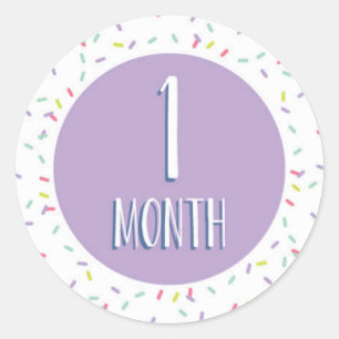 Monthly Milestone Stickers