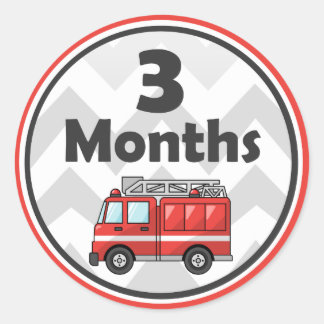 Monthly Milestone Stickers - Baby Month to Month