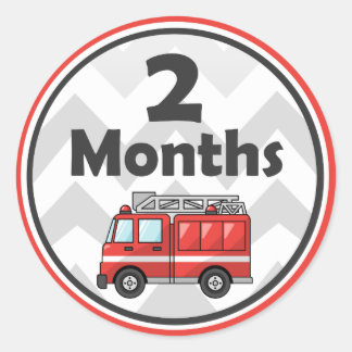 Monthly Milestone Stickers - Baby Month to Month