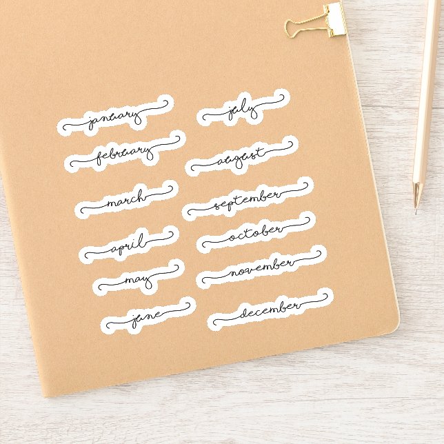 Months of the year cursive Planner stickers (Notebook)