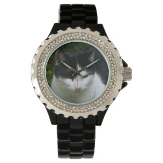 Montre