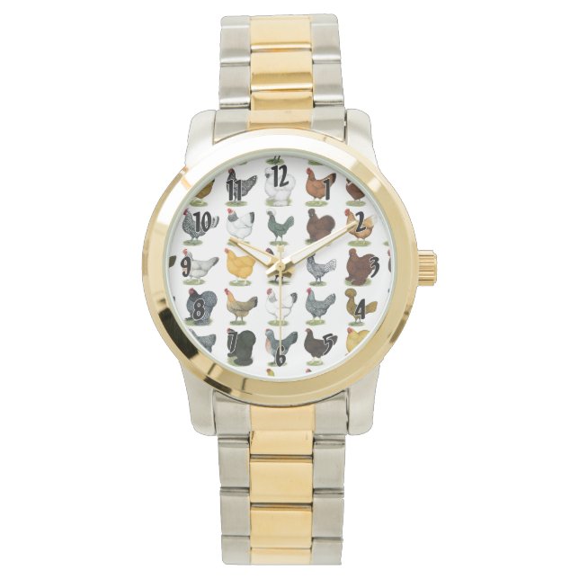 Montre 49 poules de poulet (devant)