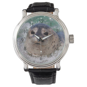 Montre A baby seal surfing