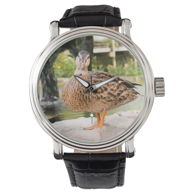 montre à canard (devant)