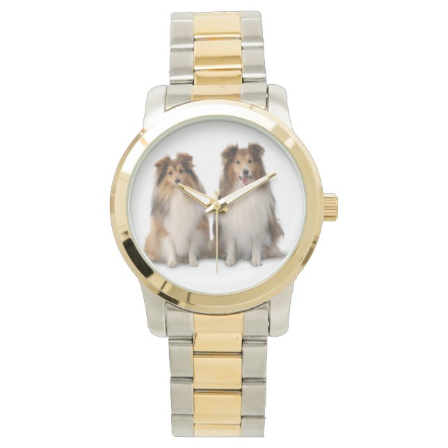 Montre à deux tons Sheltie, ton or et argent (devant)