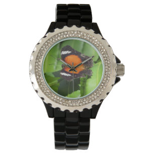 Montre à papillon tropical