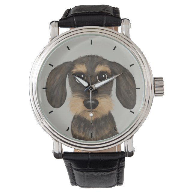 Montre À poils durs Dachshund | Teckel de chien de carica (devant)