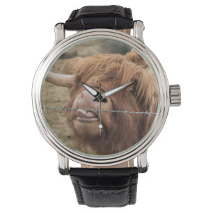 Montre A wonderful photograph of a highland cow
