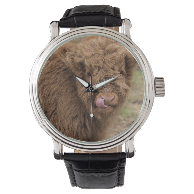 Montre A wonderful photograph of a highland cow (devant)