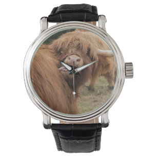 Montre A wonderful photograph of a highland cow