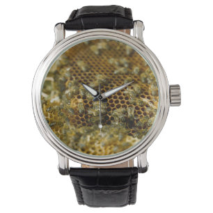 Montre Abeilles Dans La Ruche, Cap Occidental, Afrique Du