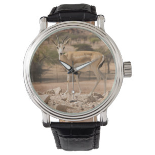 Montre Abu Dhabi