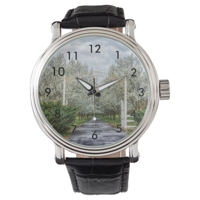 Montre Accueil du lecteur Spring (devant)