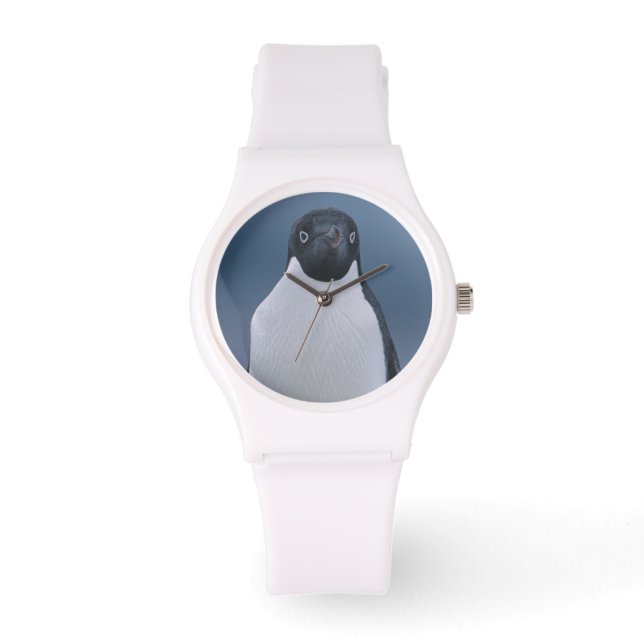 Montre Adelie Penguin sur la glace (Recto)