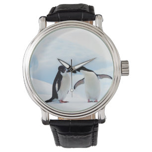 Montre Adelie Penguins