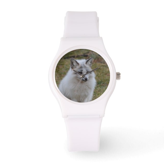 Montre Adorable renard blanc (Recto)