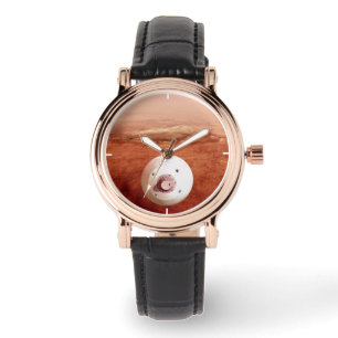 Montre Aérocoque Avec Perpersévérance Rover Descente Vers