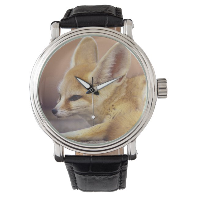 Montre Afrique du Nord. Fennec Fennecus zerda) (devant)